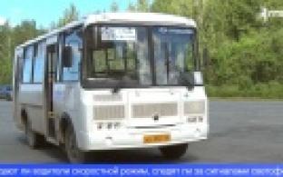 Автоинспекторы проведут рейд "Автобус"