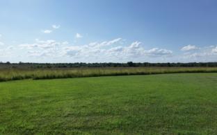 Земельные участки в аренду за один рубль смогут взять уральцы