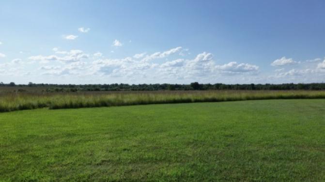 Земельные участки в аренду за один рубль смогут взять уральцы