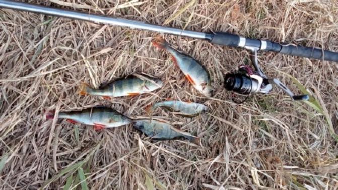 В Первоуральске проведут соревнования по ловле рыбы