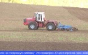 Посевная кампания в Свердловской области близится к завершению