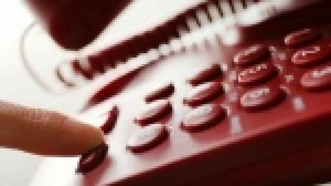 О лесных пожарах можно сообщить через приложение «Берегите лес» для Android