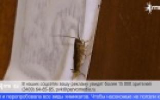 От неприятного соседства страдают жители многоэтажки на улице Данилова