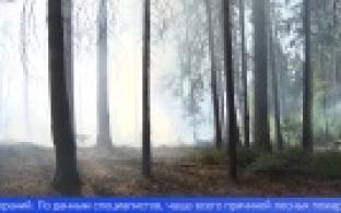 В Свердловской области сейчас действует 3 природных пожара