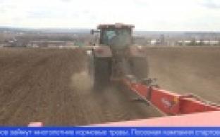 Посевная кампания в Первоуральске в самом разгаре