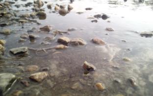 Первоуральские спасатели искали пропавших туристов