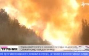 30-го апреля в Свердловской области начнёт действовать особый противопожарный режим