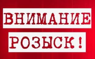 Госавтоинспекция Первоуральска разыскивает очевидцев ДТП