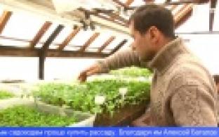 Первоуральцы начали активную подготовку к дачному сезону