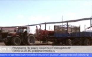 Сельхозпроизводители Свердловской области получат государственную поддержку