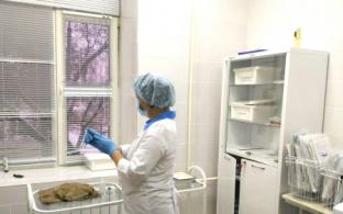 Изменилось расписание работы прививочных кабинетов в выходные