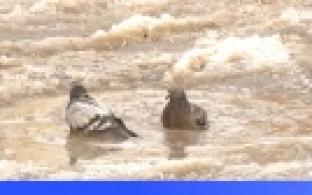 Около 50 домов остались без холодной воды в результате аварии