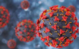 Статистика по заболеваемости коронавирусом в Первоуральске