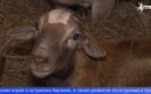 Выпускники «Школы фермера» получили дипломы