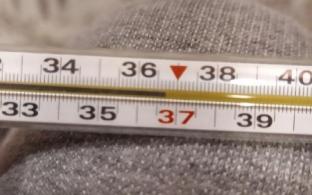 В Первоуральске среди детей за сутки зарегистрировано 27 новых случаев заболевания COVID-19