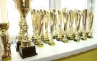 Кубок России по смешанным единоборствам прошел в Первоуральске