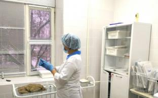 В предстоящие выходные в Первоуральске будет проходить вакцинация от COVID-19 сразу на нескольких площадках