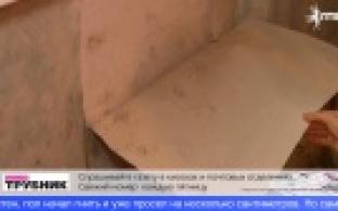 В одном из домов на ул. Трубников жители страдают от влажности