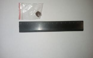 Молодой человек пронёс в колонию-поселение №66 под Первоуральском, предположительно, наркотики