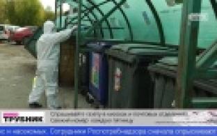 Контейнерные площадки в Первоуральске обработают от паразитов