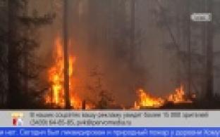Новые очаги лесных пожаров появились в Первоуральске