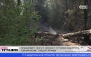 Министр природных ресурсов области прокомментировал ситуацию с пожарами