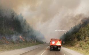Горит лес в районе горы Волчиха