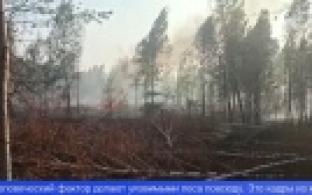 Зона пожара у озера Глухое достигла 500 га