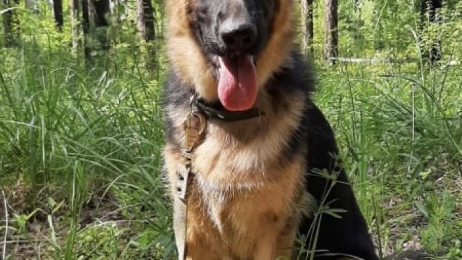 Тут самый хороший мальчик ищет себе друга