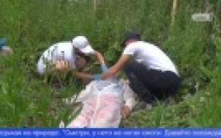 Добровольцы-спасатели приняли участие в квесте