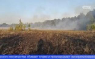 В районе Динаса горит лес недалеко от коллективных садов