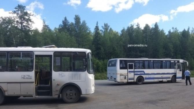 Сотрудники ГИБДД сегодня проверяют автобусы