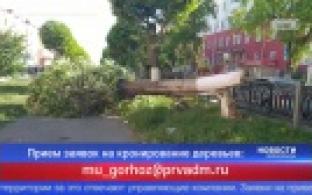 Жители нескольких улиц Первоуральска остались без света из-за обрыва проводов