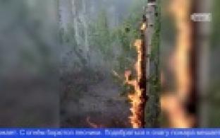 На окраине Первоуральска вновь горел лес