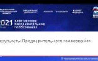 Завершено предварительное электронное голосование