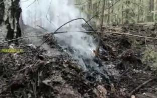Возгорание в лесу в районе Динаса