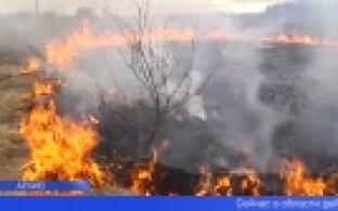 В Свердловской  области могут временно запретить посещать лес