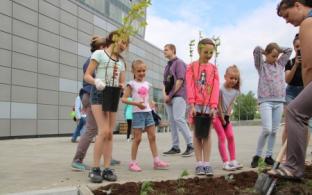 В Первоуральске пройдет экологическая акция «НаВырост»