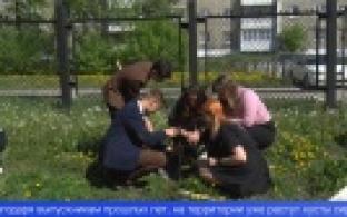 Выпускники первоуральской школы №2 поучаствовали в акции "Посади дерево"