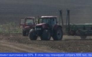 В Свердловской области будут регулировать цены на перечень продуктов