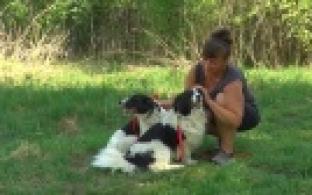 Ищу тебя, хозяин