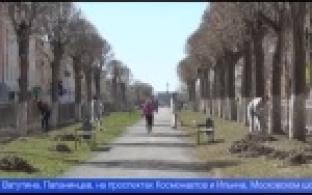 Новотрубники приняли участие в субботниках