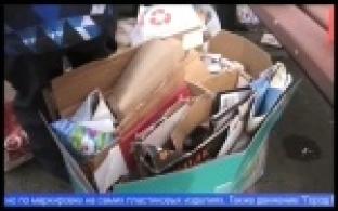 Экоактивисты проведут акцию "Утилизация" в районе Динас