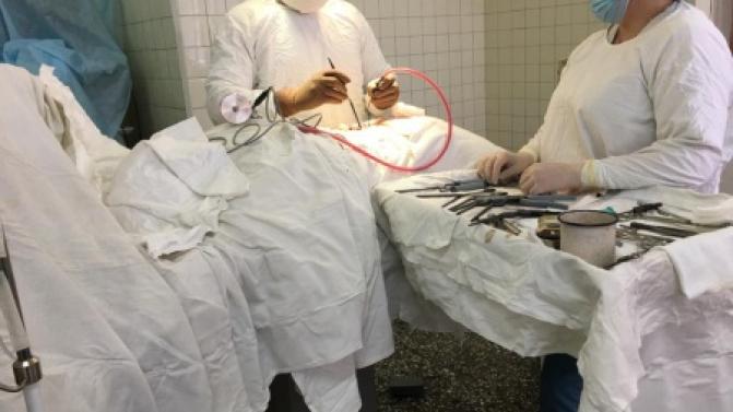 В Первоуральской городской больнице провели первую операцию на шейном отделе позвоночника