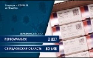 Ситуация с коронавирусной инфекцией в Свердловской области (графика)