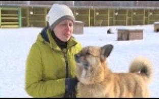 Ищу тебя, хозяин