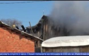 В Ельничном сгорела частная конюшня