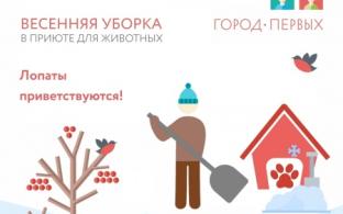 Все - на весеннюю уборку снега!