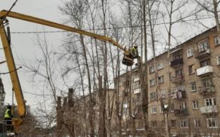 В Первоуральске кронируют деревья