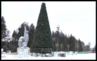 В Парке новой культуры начали строить новогодний городок